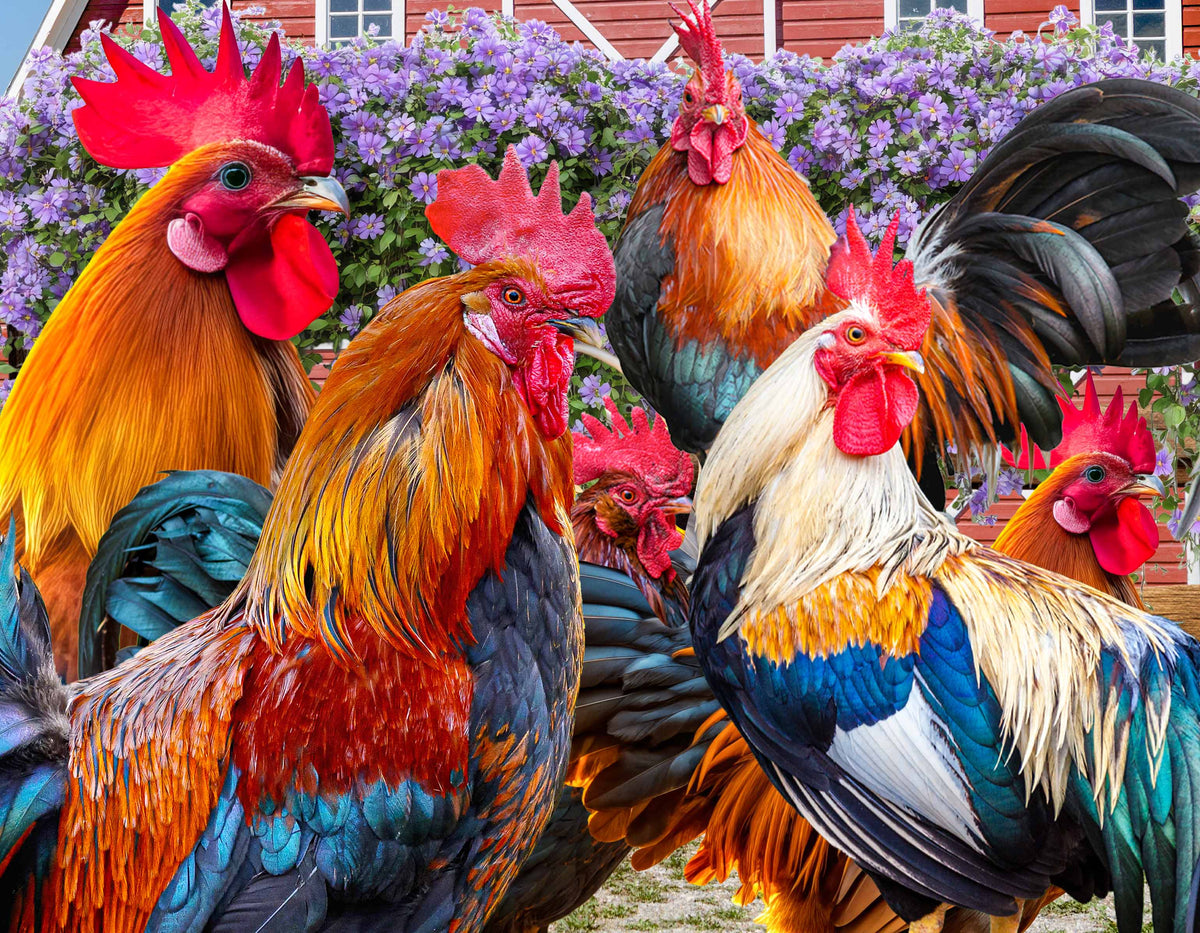 Sunface Puzzles: Rooster: Acrylic Jigsaw Puzzle (255 Pieces)